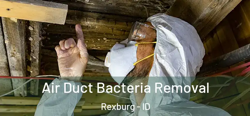 Air Duct Bacteria Removal Rexburg - ID