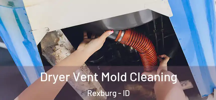  Dryer Vent Mold Cleaning Rexburg - ID