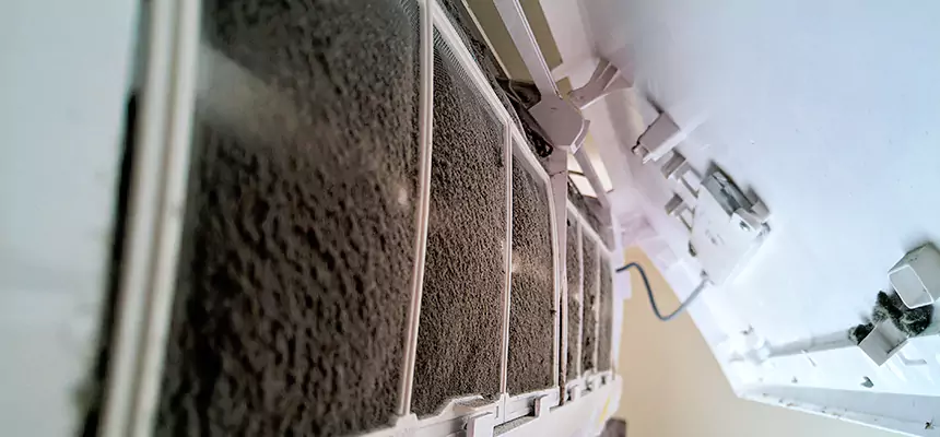 Preventive Air Duct Bacteria Removal in Rexburg