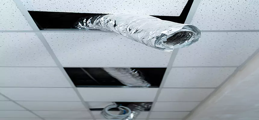 Our Air Duct Pet Hair Removal Services in Rexburg, ID