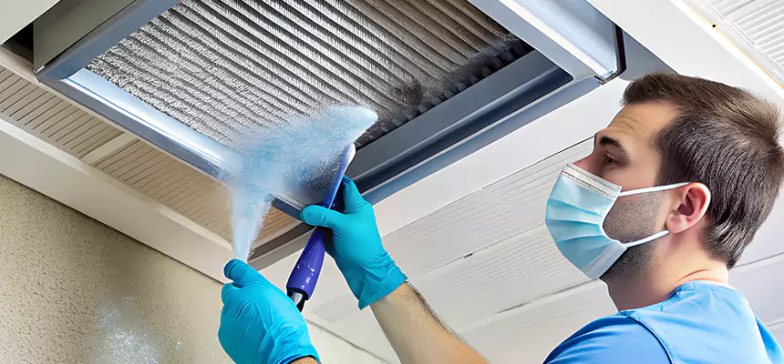 Proactive Dryer Vent & Auxiliary Duct Pollen Cleanup in Rexburg, ID