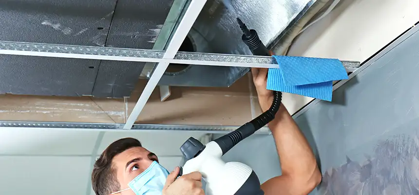 Our Air Duct Rodent Removal Services in Rexburg, ID