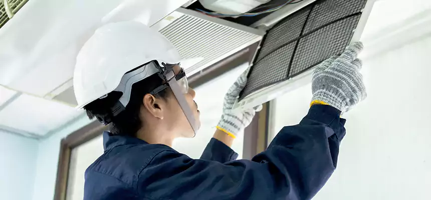 Our Mold & Mildew Removal from Air Ducts Services in Rexburg, ID