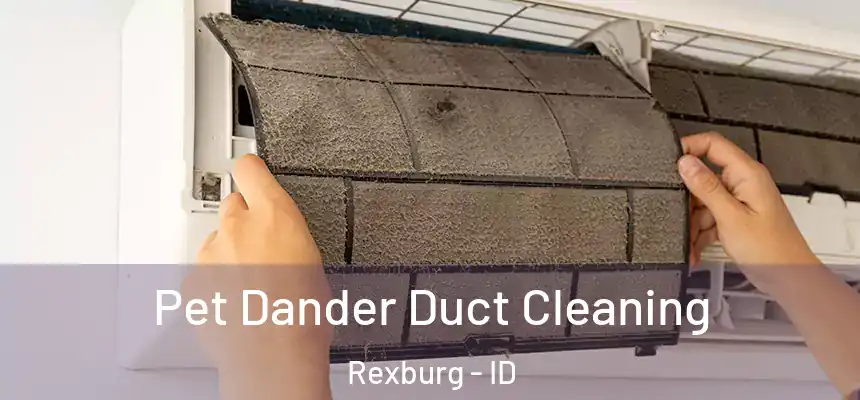  Pet Dander Duct Cleaning Rexburg - ID