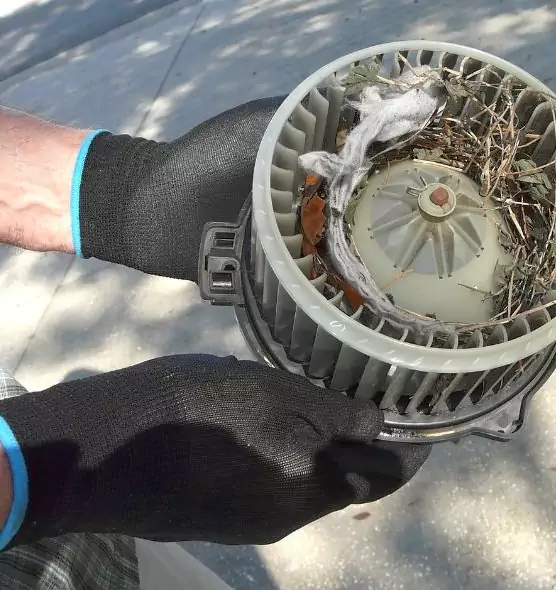 About Air Duct Rat Removal in Rexburg, ID