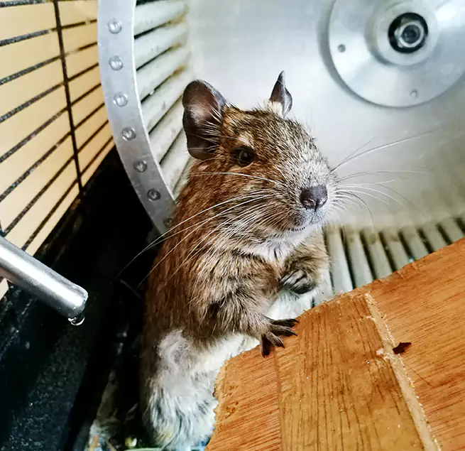 Why Homeowners & Businesses Trust Us Rexburg, ID?